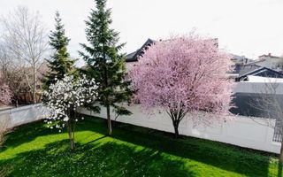 Vila  6 camere de inchiriat | Pipera-Aviatiei - Poză 5