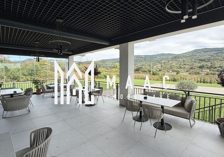 Teren intravilan de vânzare | Gura Vaii | 13.000 mp | restaurant - Poză 4