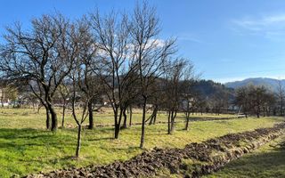 Casa+teren Bistrita-Bargaului - Poză 19