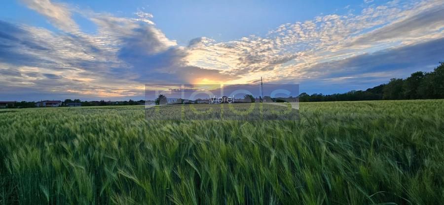 TEREN DE VANZARE | SNAGOV | 2443 MP LOTIZAT - Poză 1