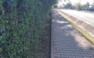 # intravilan în Țigănași la strada principală - Poză 4