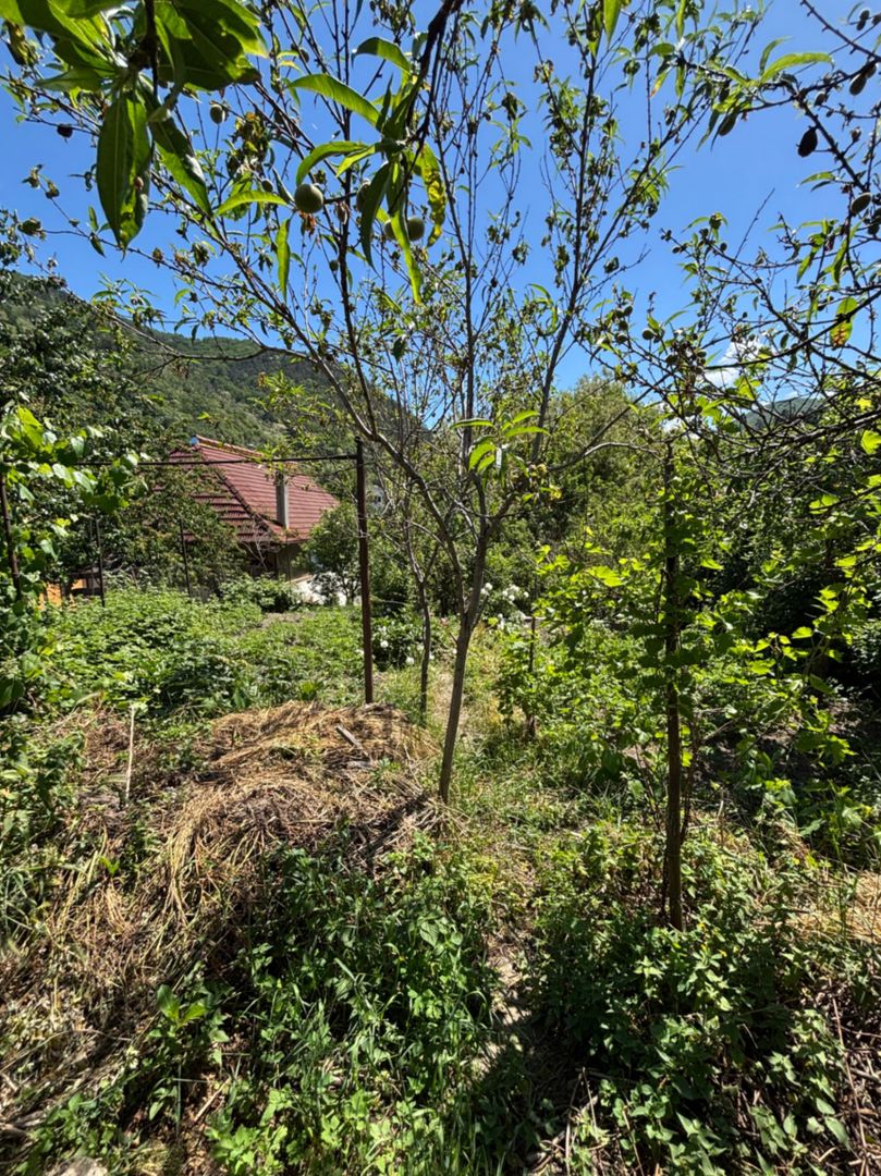 Casa de Vanzare in zona Suseni, in Cugir - Poză 10