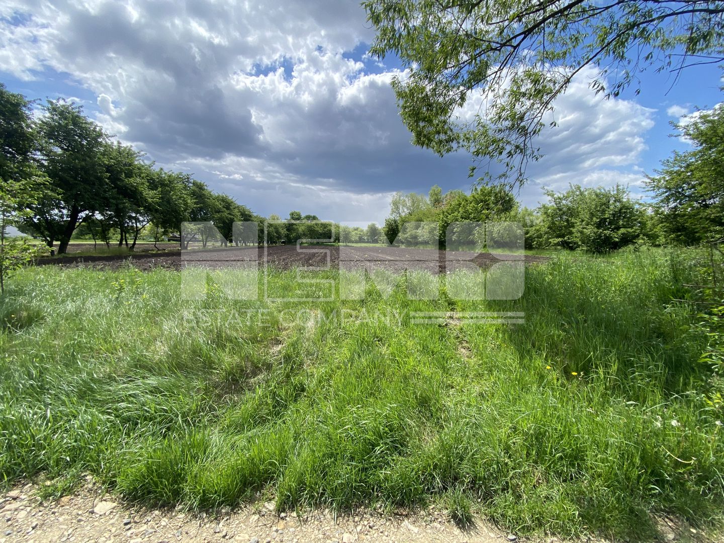 Teren Intravilan | 22 ARI | Horodnic De Jos - Poză 4