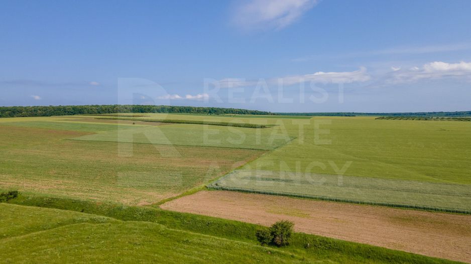 Vînzare, teren agricol, 25,3 ha, s. Peresecina, Orhei. - Poză 6