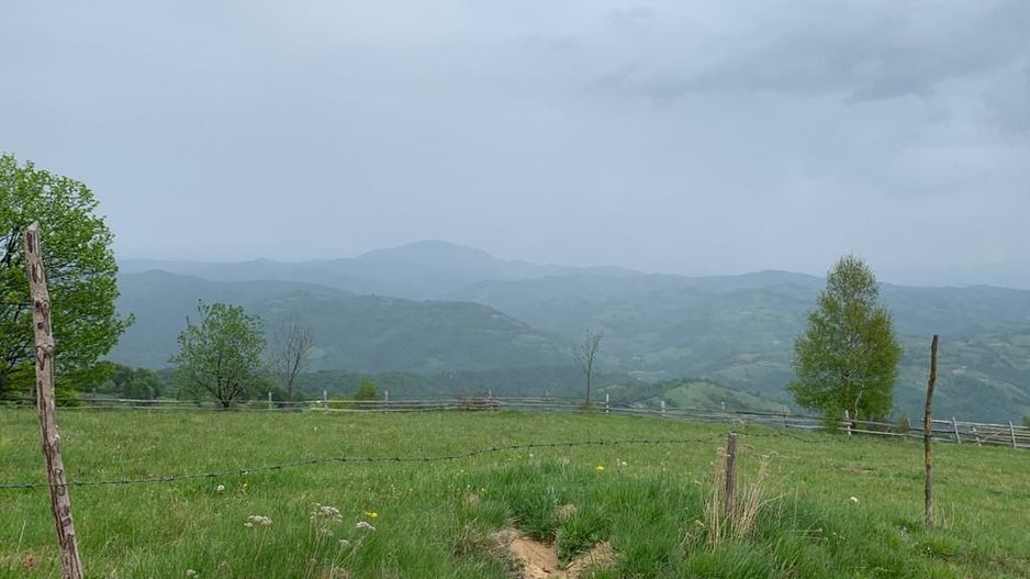 Teren extravilan 2ha, priveliste panoramica spre munti /Poiana Marului - Poză 9