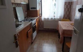 Inchiriere apartament 2 camere, etaj 1, Calea Bucuresti - Poză 2