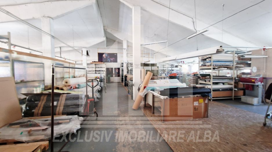 Spatiu industrial de inchiriat in Sebes - Poză 3