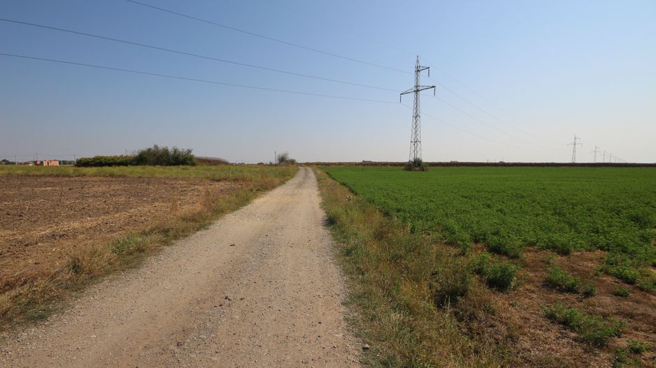 Teren arabil 3 ha - Sacalaz - Poză 1