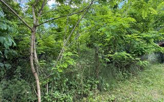 Teren intravilan 683 mp deschidere la strada asfaltata ! - Poză 15