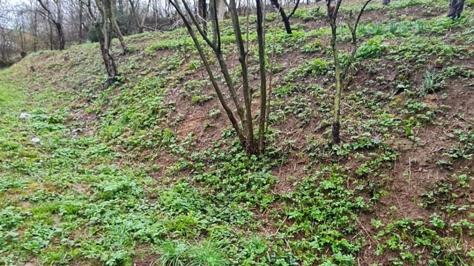 Teren intravilan1291 mp Schei Str Nisipului iesire la Drumul Poienii - Poză 9