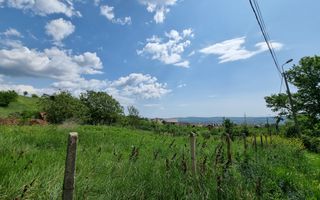 De vanzare 998 mp teren intravilan, Cetate - Poză 4