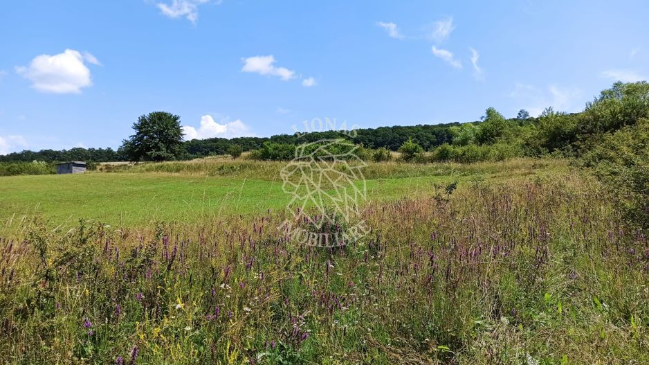 Parcele teren 4038 mp - Parcelabil - Zona Valea Stanelor - Poză 6