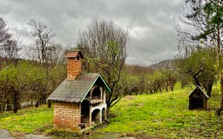 Teren cu livada+ casa de vanzare in Talmacel- 4000 mp - Poză 2