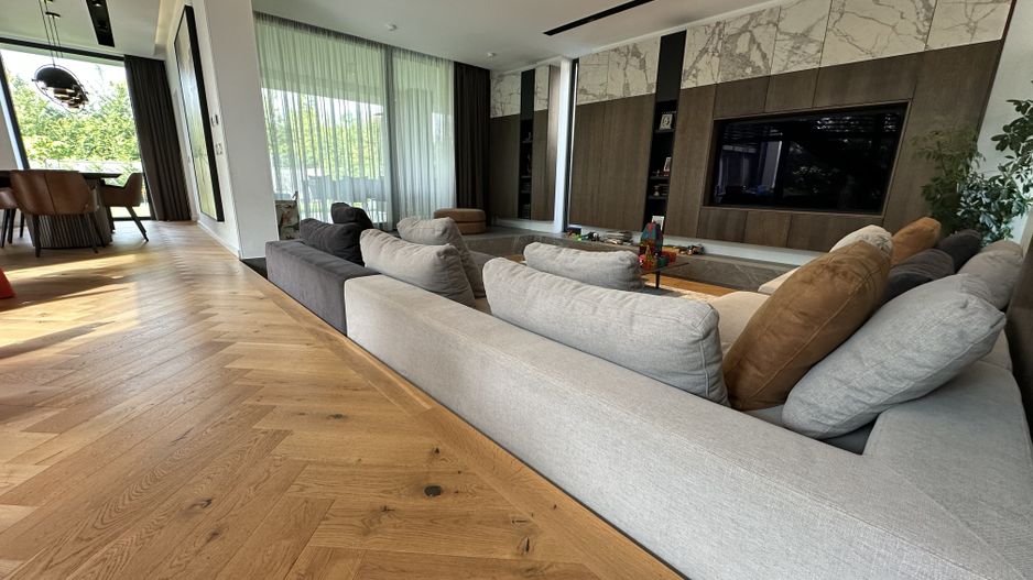 PROIECT  DEOSEBIT  IN  DUMBRAVITA - Poză 2