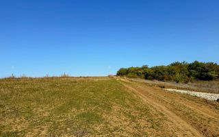 Teren | 651MP | Extravilan | Rusciori - Poză 6