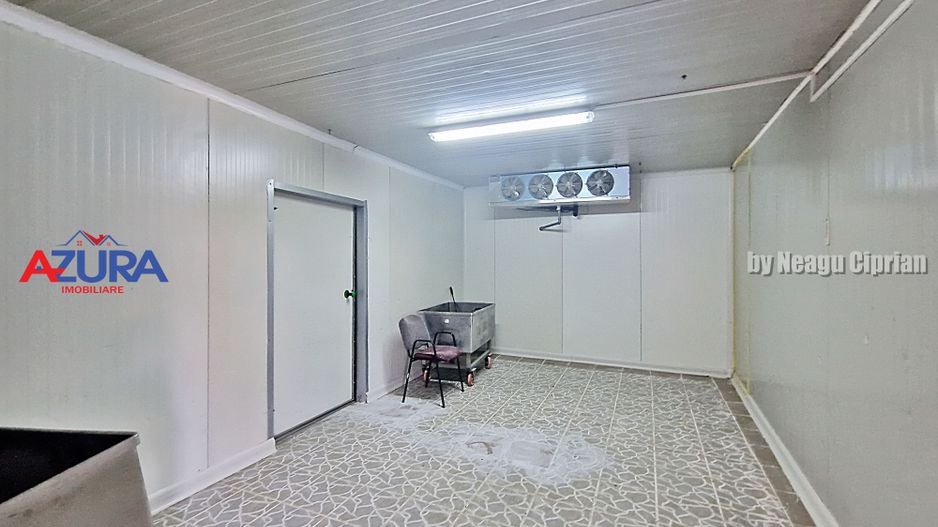 AZURA Imobiliare - Hala Fabrica de procesare Carne - Poză 10