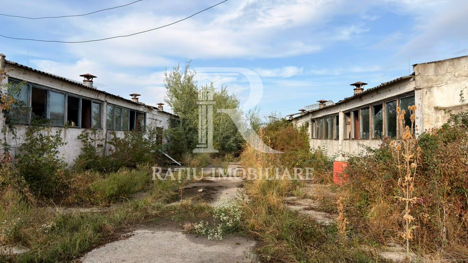 Fermă Sărand | Bihor | 25.659 mp teren intravilan - Poză 16