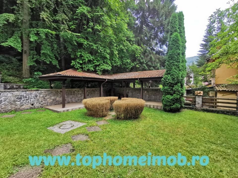 Vila deosebita Sinaia- Cumpatul - Poză 9