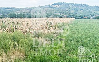 Teren extravilan Lugasu de jos, Bihor - Poză 2