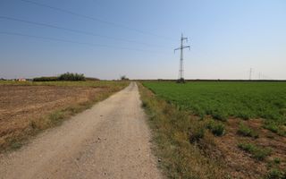 Teren arabil 3 ha - Sacalaz - Poză 1