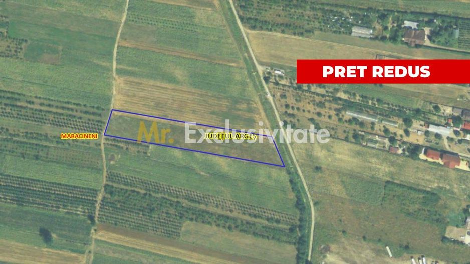 Oportunitate de investitie! Teren intravilan Maracineni 7545 mp - Poză 2