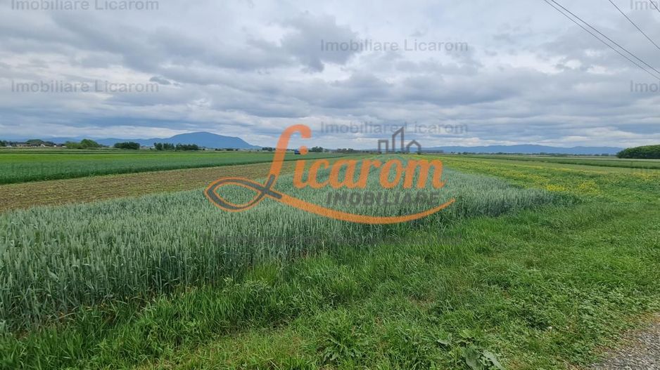 Teren Stupini Calea Feldioarei 4600 mp,21 euro/mp, front la asfalt - Poză 4