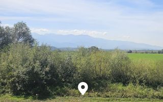 Teren 3.500 mp | Lângă canalul Oltului  | Porumbacu de Jos - Poză 4