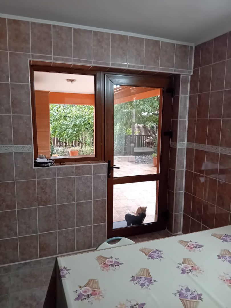 Casă Spațioasă P+1+M, 265 mp Utili, 1000 mp Teren – Toate Utilitățile, Vânători - Poză 13