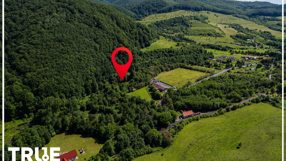 Teren intravilan 2.800 m² în Câmpu Cetății – liniște și natură - Poză 16