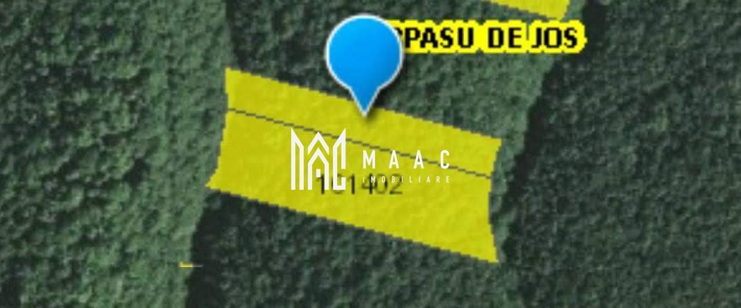 Teren extravilan de vânzare | Arpașu de Sus | 3100 mp - Poză 5