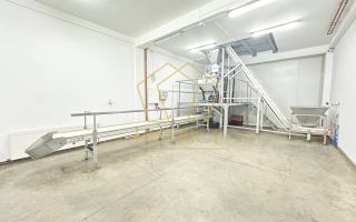 Hala industriala | Freidorf | Timisoara - Poză 1