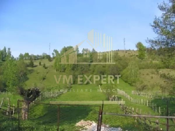 TEREN INTRAVILAN 4310 MP LERESTI ARGES - Poză 1