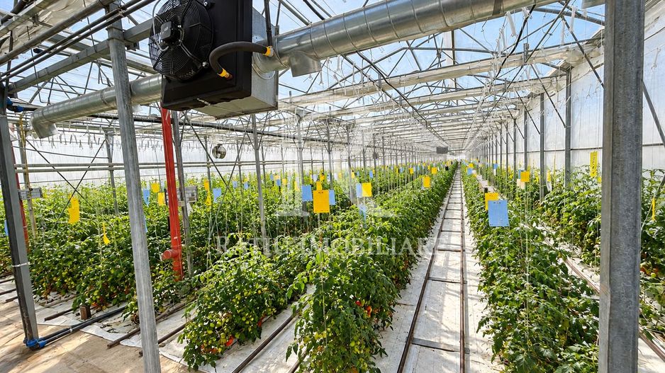 Complex agroindustrial de închiriat | Sere 3.300 mp - Poză 1