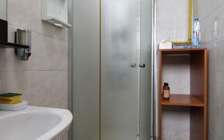 Vad comercial/acces facil, cladire mixta. - Poză 14