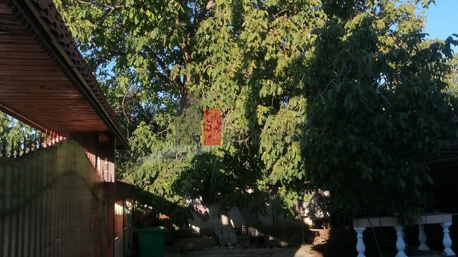 Dascalu-lfov-Vila D+P+M-5 camere-Locatie Deosebita - comision 0 - Poză 8