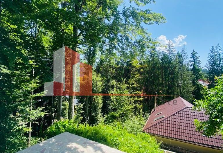 Vila Sinaia - Poză 13
