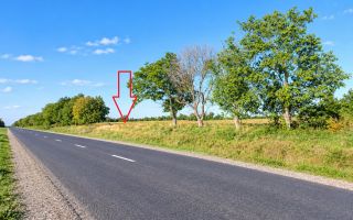 4,85 HA CU DESCHIDERE DE 300 M LA TRASEU | CRIULENI – SLOBOZIA-DUȘCA - Poză 10