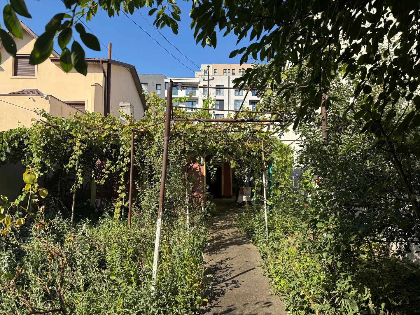 Casa si teren intravilan 512 mp | Bd. Uverturii – zona Cernisoara - Poză 12