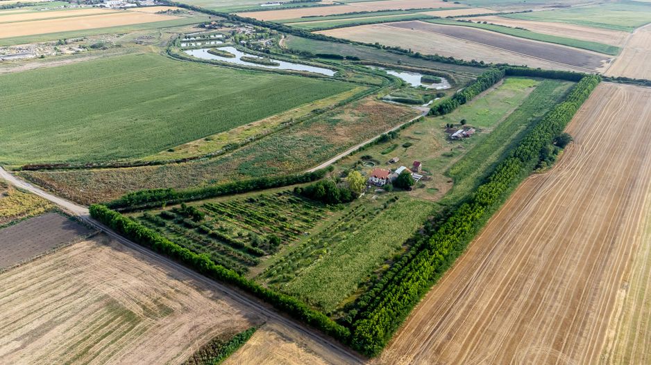 Preț nou! De vânzare teren 7.6 Ha în Pecica - Poză 3