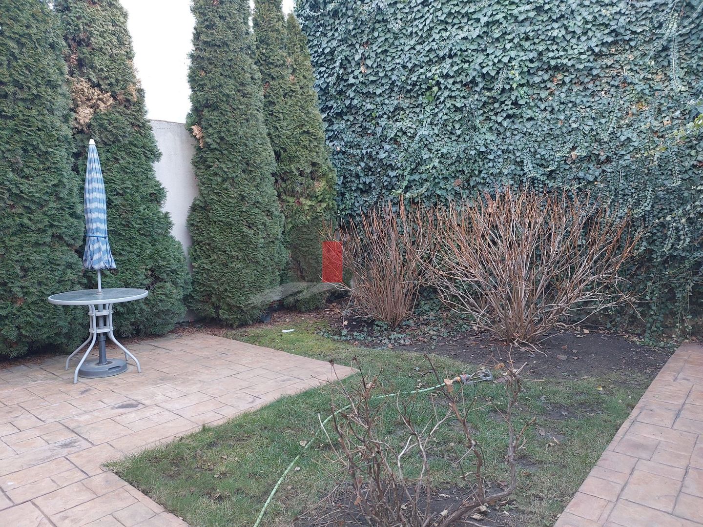 Casa "BEGIRA", Mosilor-Foisorul de Foc, curte individuala, birou/comercial - Poză 21