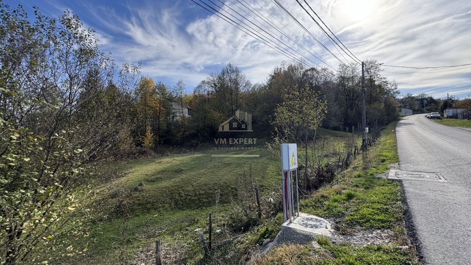 TEREN INTRAVILAN 13167 MP BUGHEA DE SUS ARGES - Poză 8