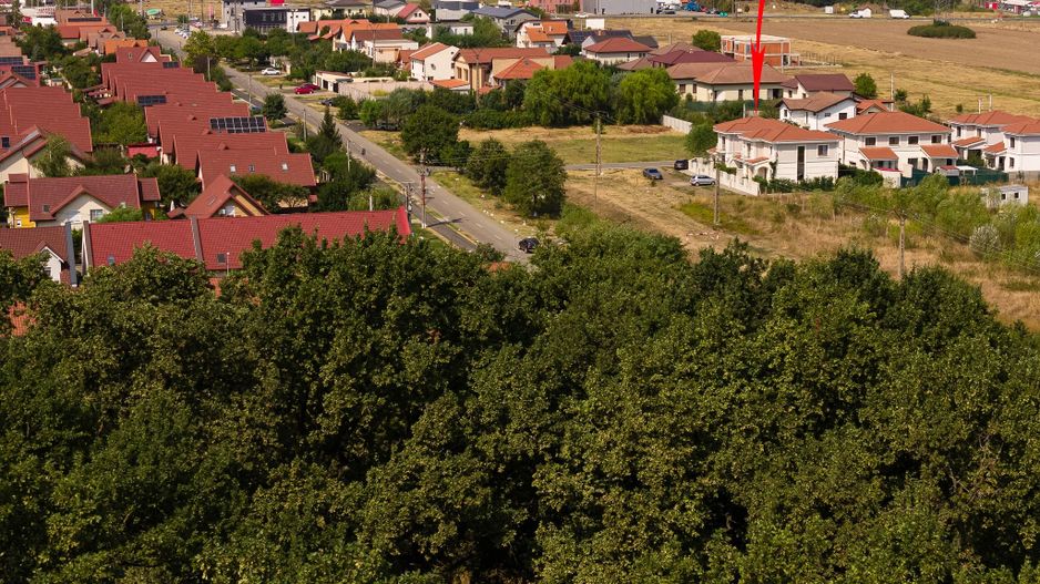 Casa Superba cu Garaj | 4 dormitoare | Langa Padure & Lac | - Poză 50