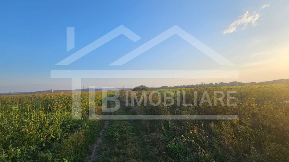 Teren intravilan, 1476 mp, Zona Ungheni - Poză 3