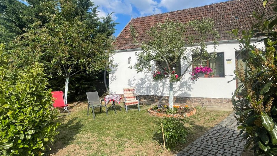 Casa de inchiriat cu 2 camere la curte comuna in zona Dealuri, Oradea - Poză 1