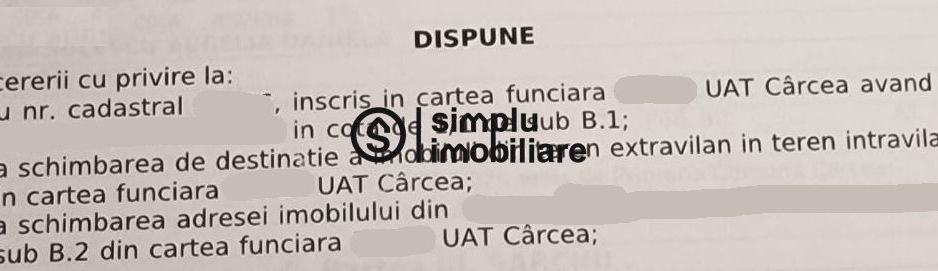 Teren Intravilan Carcea - Poză 3