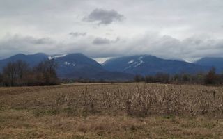 Teren extravilan de vanzare - Arpasul de Sus - Poză 2