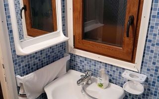 Cabană cu teren și pomi fructiferi Tropinii Noi ,Sibiu - Poză 11