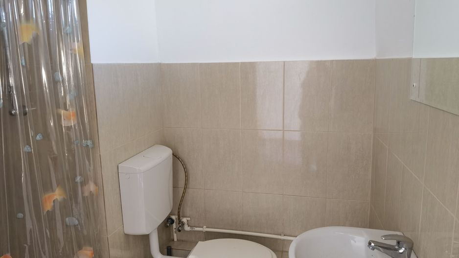 Proprietate industriala  la 35 km de TM - Poză 38