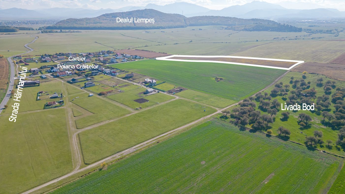 Teren în Bod, zona Poiana Crăițelor, pretabil dezvoltare imobiliară - Poză 5