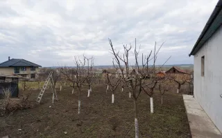Vânzare, casă, 4 camere, str. Mitropolit Varlaam, Cimișlia - Poză 30